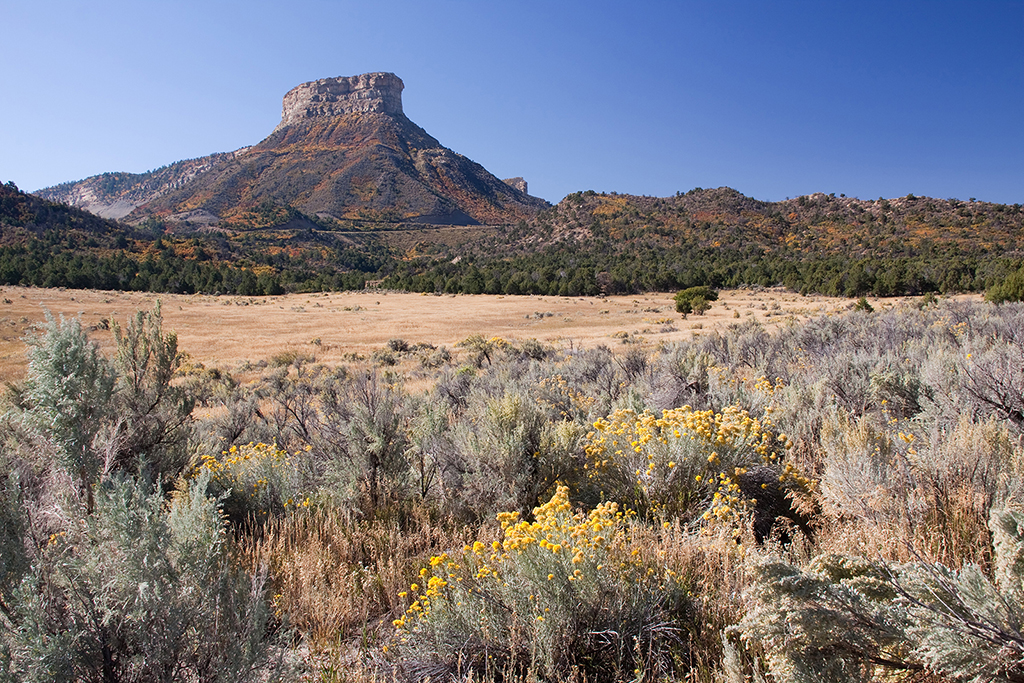 17_Mesa Verde National Park_2.jpg